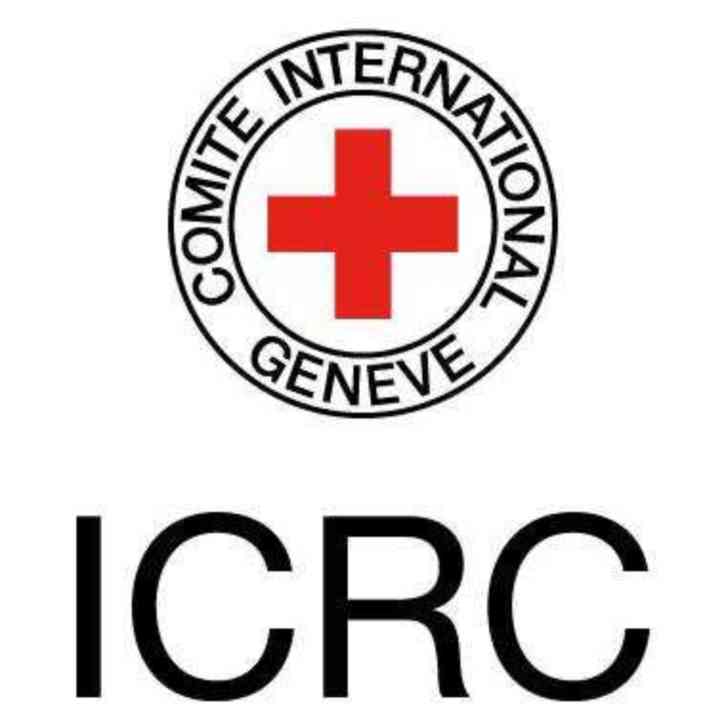 Intl Red Cross Logo