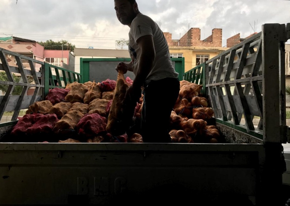 Man stacking potatoe in a truck