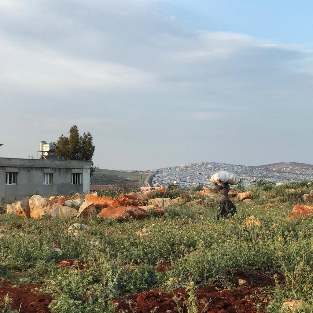 A potato field just beyond the Syrian border