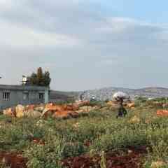 Within Sight of the Syrian Border