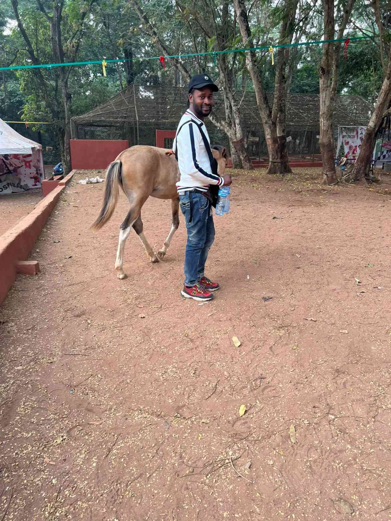 Rhenald with horse