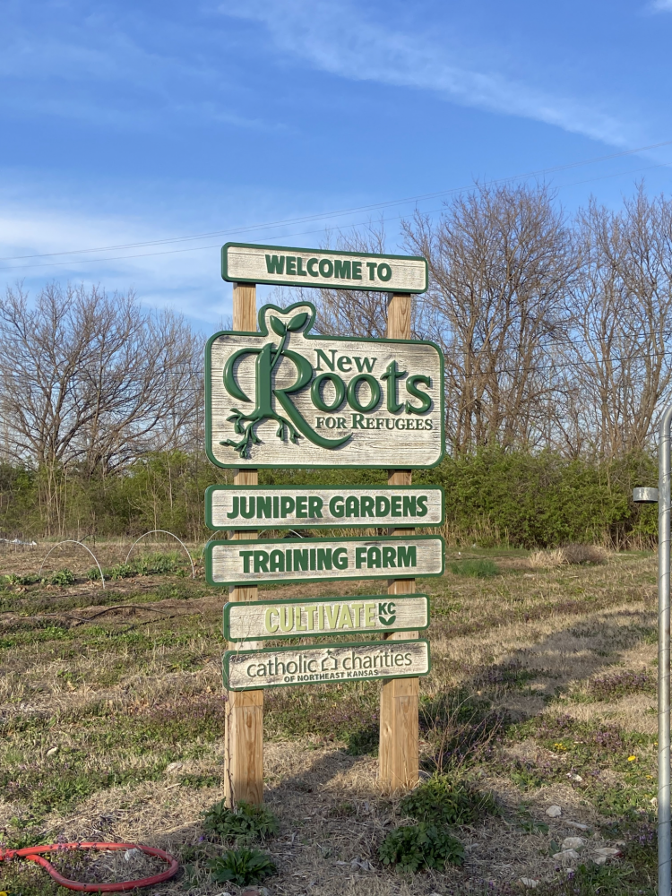 New Roots Sign