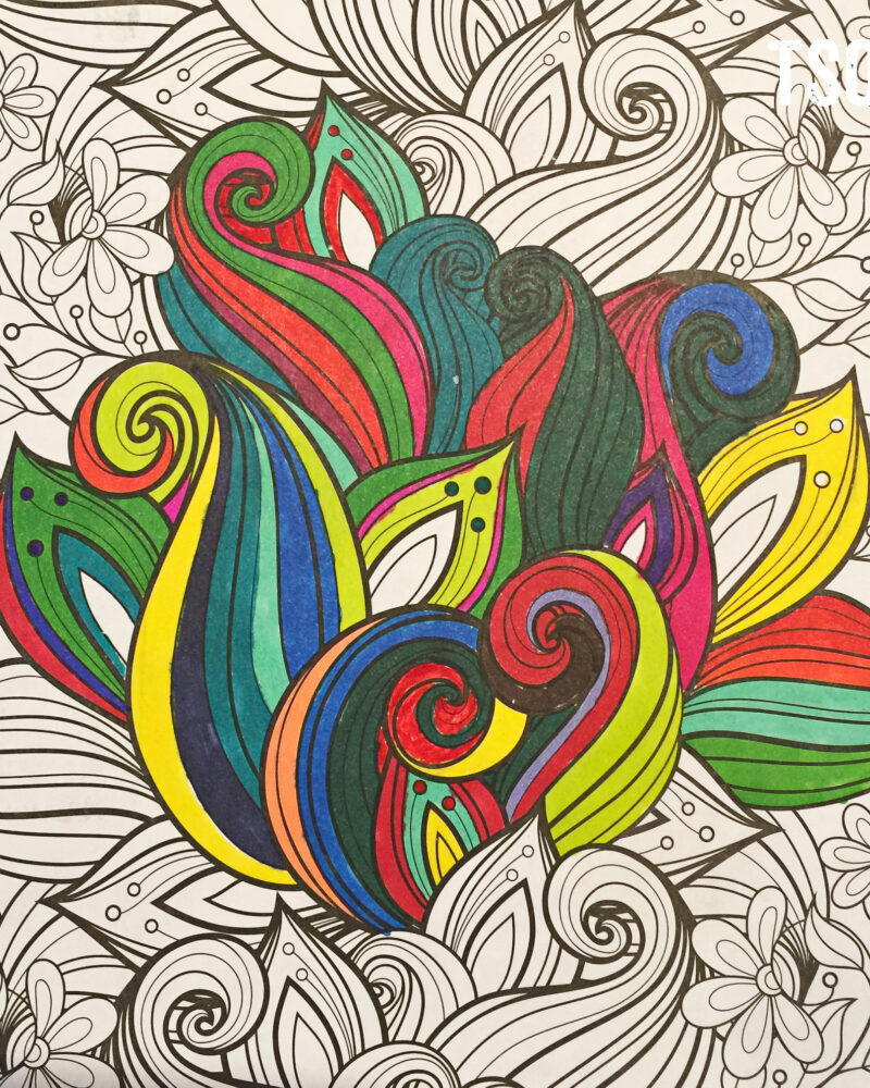 Asylum Drawing