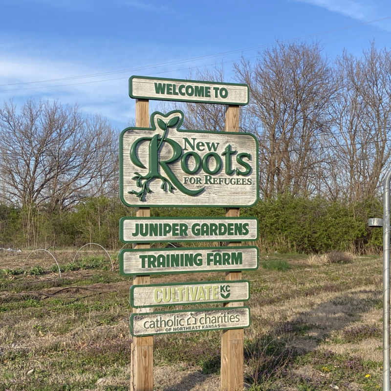 New Roots Sign